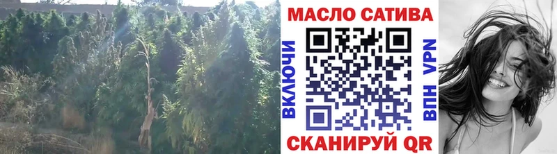 Дистиллят ТГК концентрат  купить закладку  MEGA как зайти  Катайск 