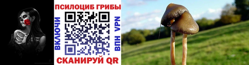 мориарти клад Катайск Галлюциногенные грибы Magic Shrooms
